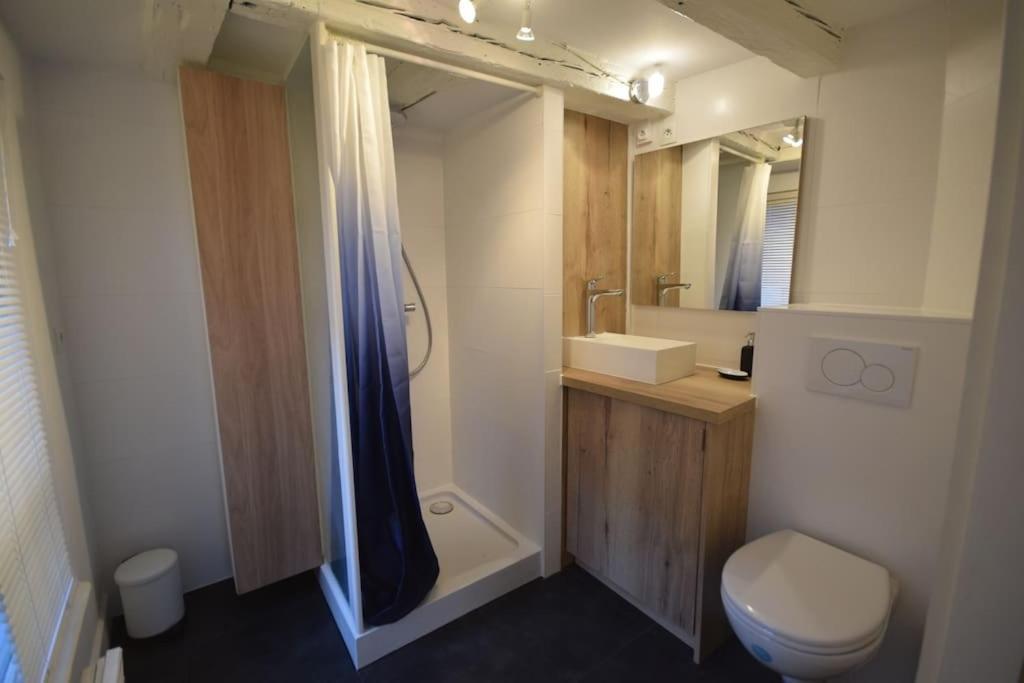 Le Studio Du Quai Des Pecheurs - Charmant Duplex Sur Les Quais Strasbourg Exteriör bild