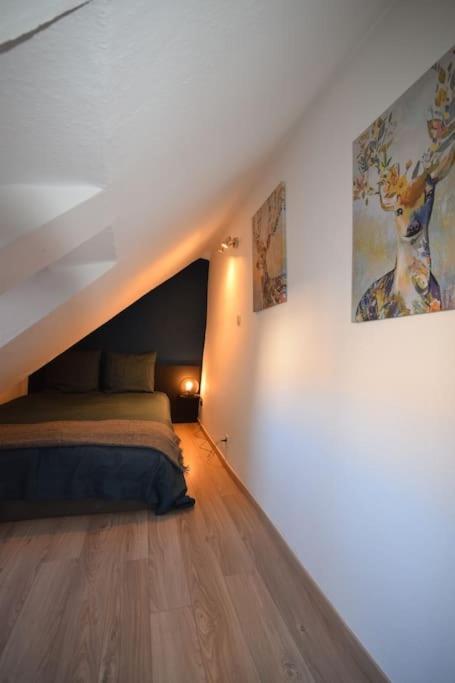 Le Studio Du Quai Des Pecheurs - Charmant Duplex Sur Les Quais Strasbourg Exteriör bild