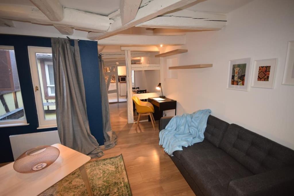 Le Studio Du Quai Des Pecheurs - Charmant Duplex Sur Les Quais Strasbourg Exteriör bild