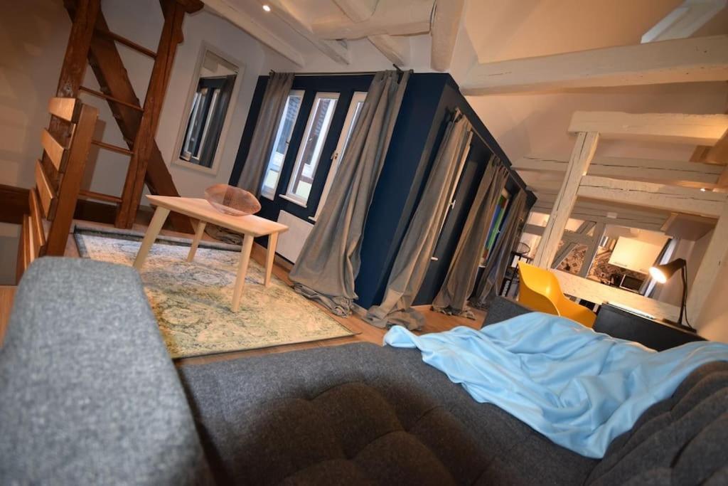 Le Studio Du Quai Des Pecheurs - Charmant Duplex Sur Les Quais Strasbourg Exteriör bild